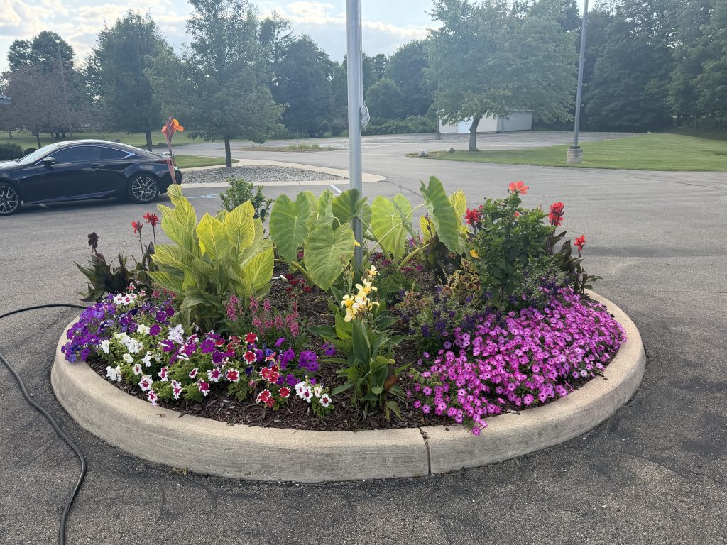 Twin Oaks Project: Purple flowers in Rotunda planter with flagpole