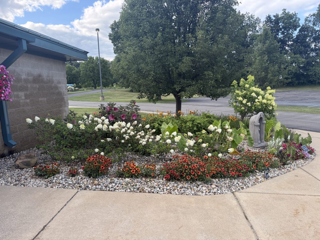 Landscape Project Flower bed and well-manicured tree.