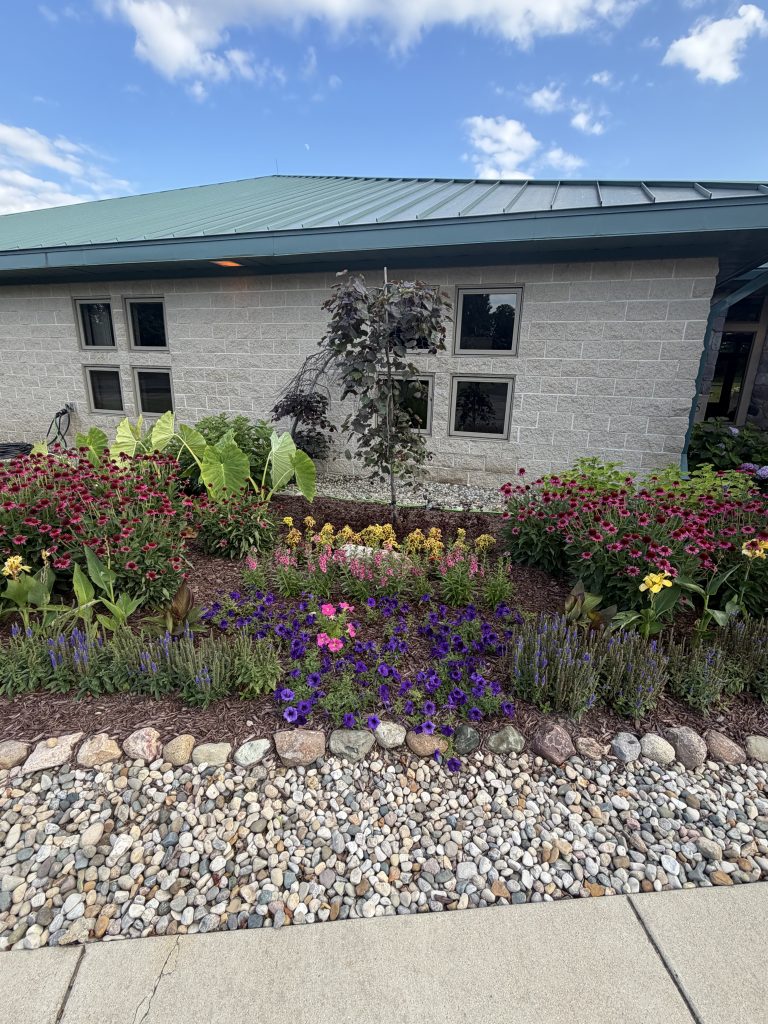 Gravel Walkway and flowerbeds with stone paver boarder