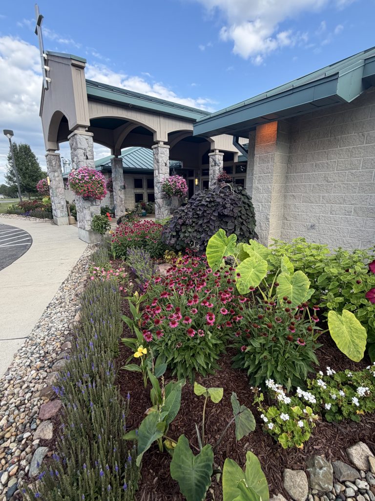 Side view of flowers and shrubs along commercial entry