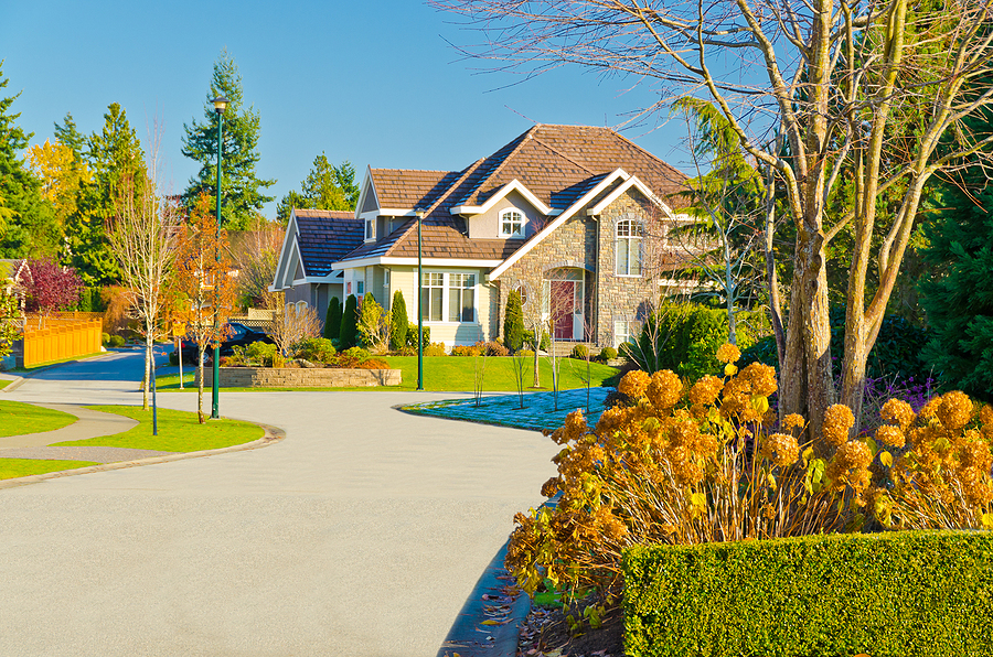 Why Fall Is the Best Time to Improve Your Landscape Post Thumbnail