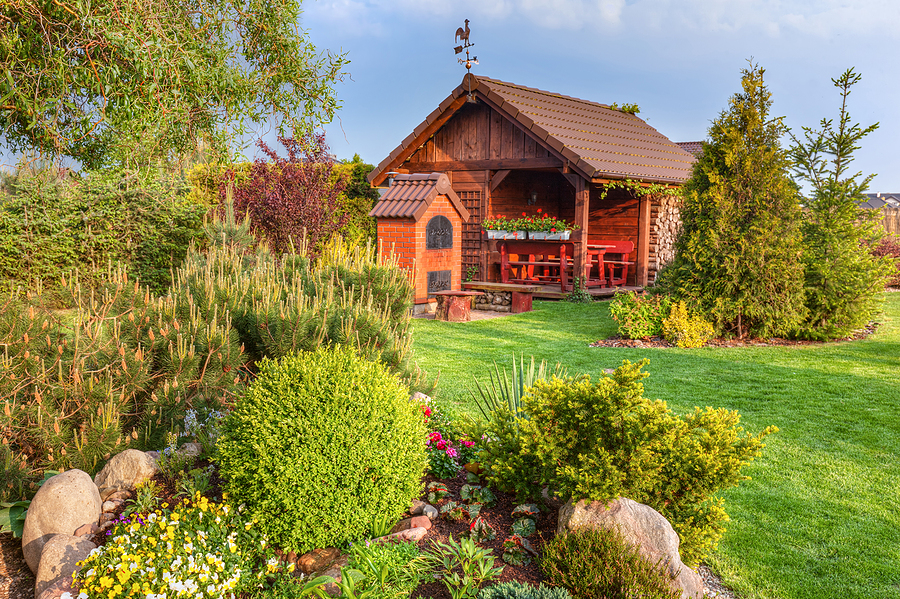 Why Some Plants Thrive in Your Yard While Others Struggle Post Thumbnail